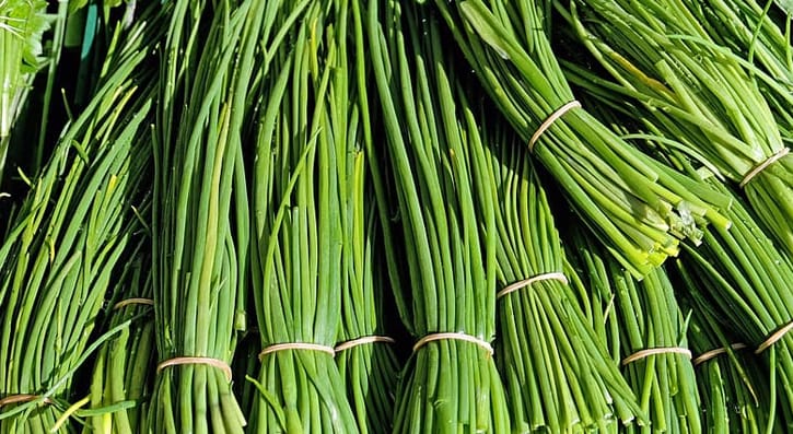 Scallions